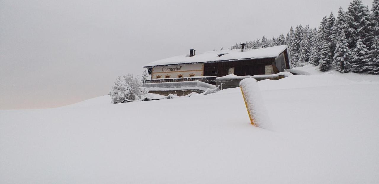 Gostnerhof Leilighet Dobbiaco Eksteriør bilde