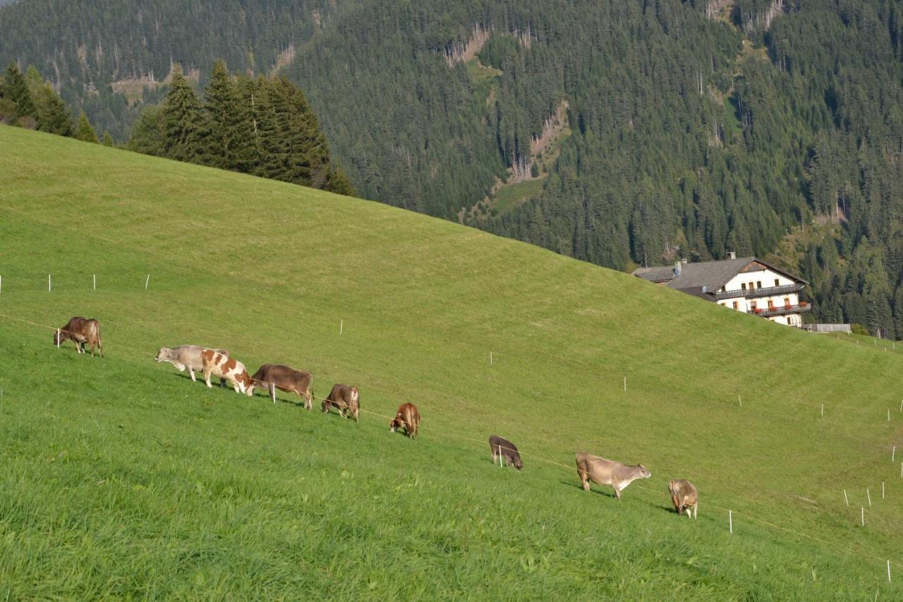 Gostnerhof Leilighet Dobbiaco Eksteriør bilde